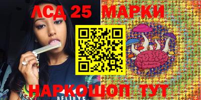 apvp Канаш