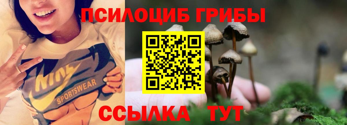 цены наркотик  Вход с VPN  Минусинск  Псилоцибиновые грибы MAGIC MUSHROOMS 